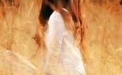 国产在线二区三区熟女A级